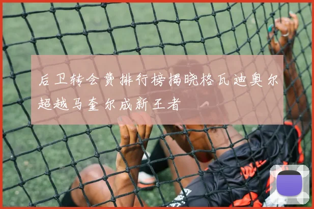 后卫转会费排行榜揭晓格瓦迪奥尔超越马奎尔成新王者